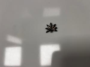 cs657/2024 weed charm 